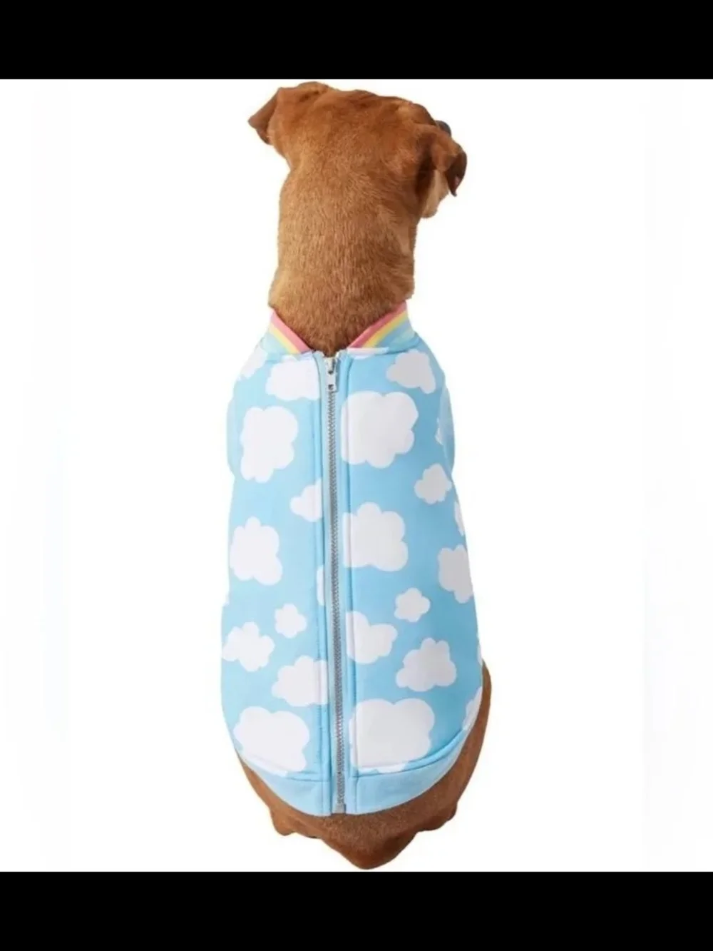 Wag-a-tude Cloud Print Blue Dog Jacket with Zipper